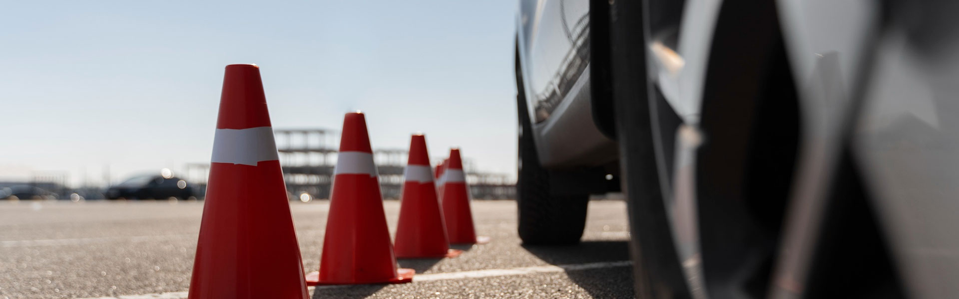 Όροι Χρήσης